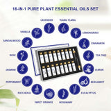 Diffuser Essential Oils | Essential Oils for Diffuser | Amore Beauty
