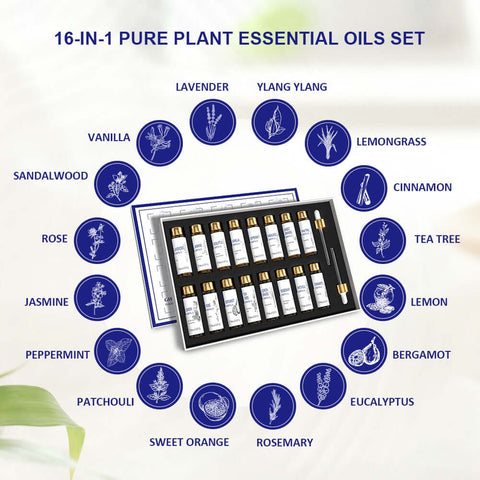 Diffuser Essential Oils | Essential Oils for Diffuser | Amore Beauty