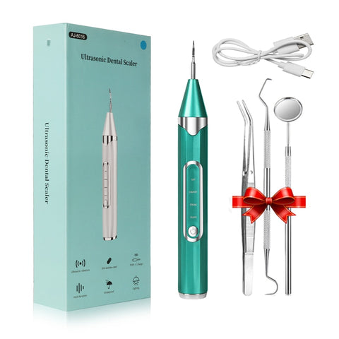 Dental Ultrasonic Scaler Tooth Cleaner
