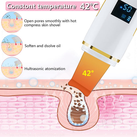 Ultrasonic Skin Scrubber