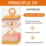 Anti-Aging Skin Care