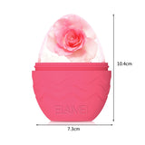Ice Roller for Face
